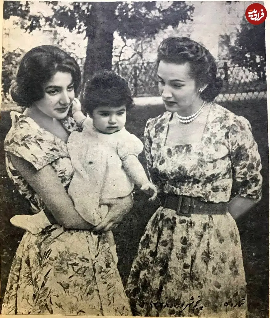 481768797_9360901157335066_6447070326047045693_n