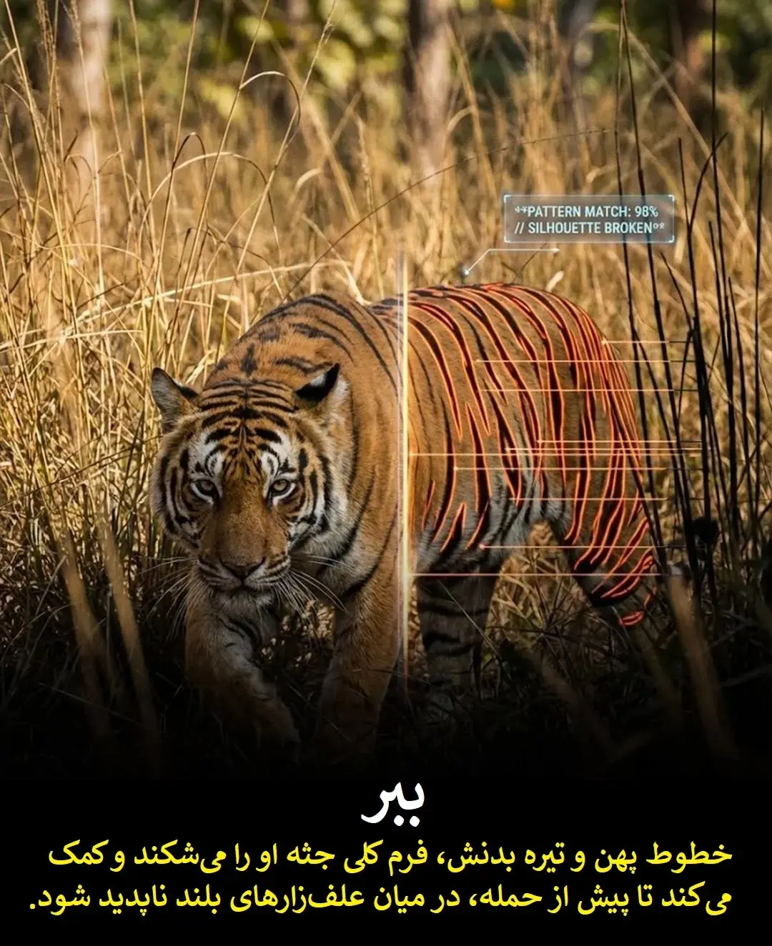 0edc8310ZTp3ZWJwfGY6MjQ5MTYxNS5qcGd8ZnVpOjIzODU3ODJ8bDpmYXx2OjE