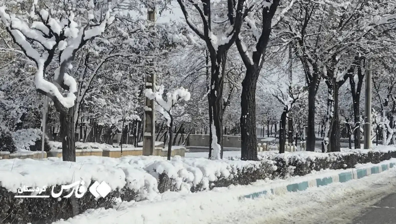 Screenshot 2026-01-15 003622