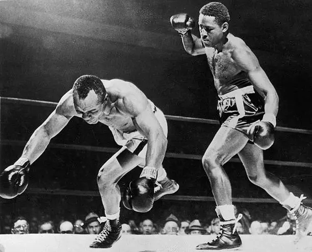 عکس بوکسور های معروف برای پروفایل