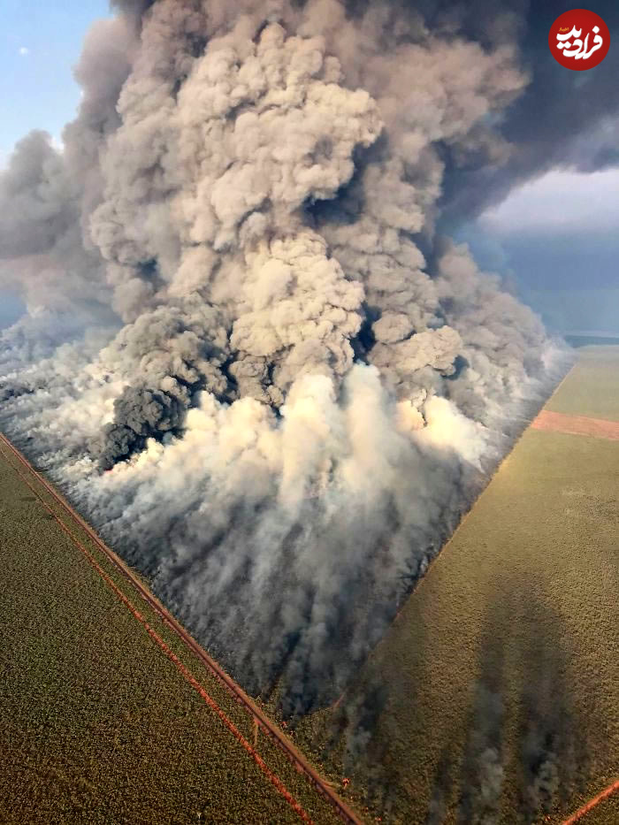 rarely-see-fascinating-photos-47