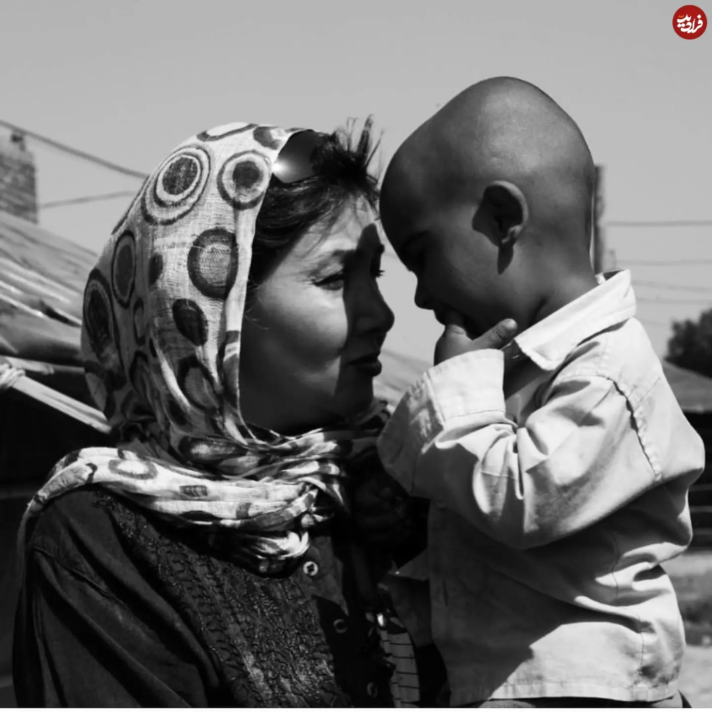 katayoun.riahi_fanpage_1570200007_2147315754767618082_12551511947