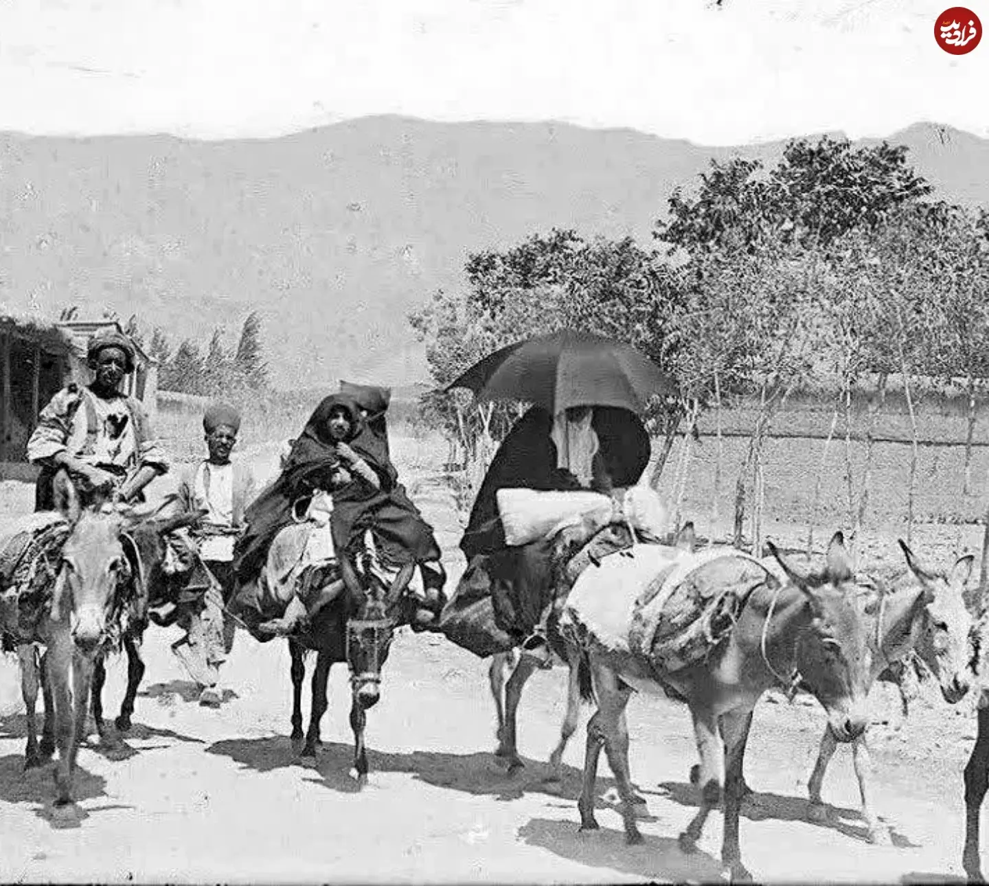 iranghadim__1754818501_3696007929287207646_50619536712_11zon