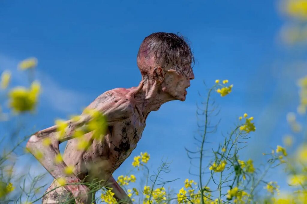 55