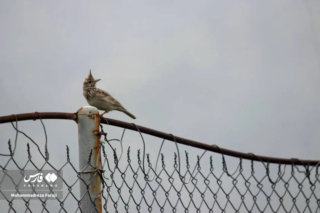 90چ