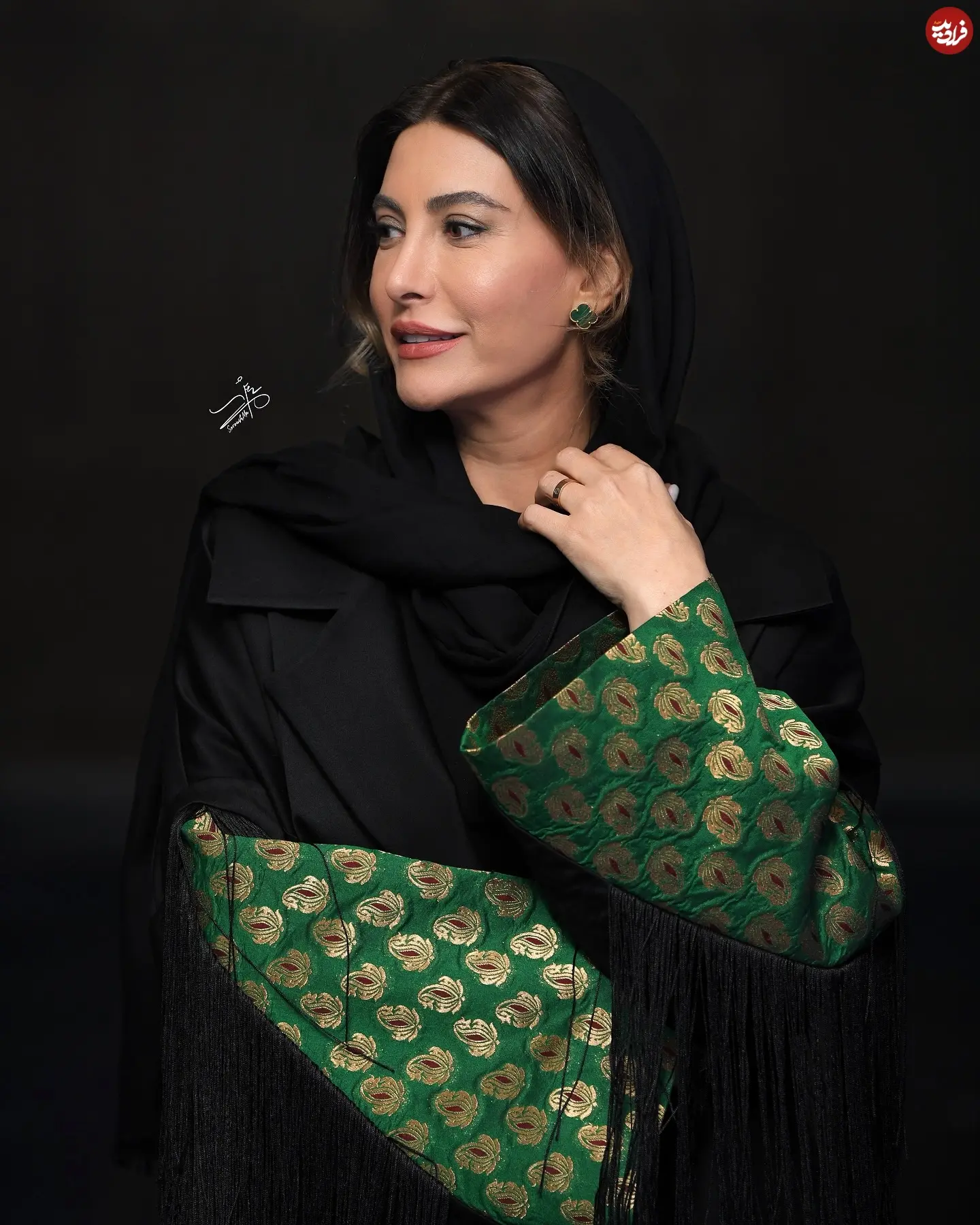 soroushmn__1762971513_3764400351819365960_13584162204