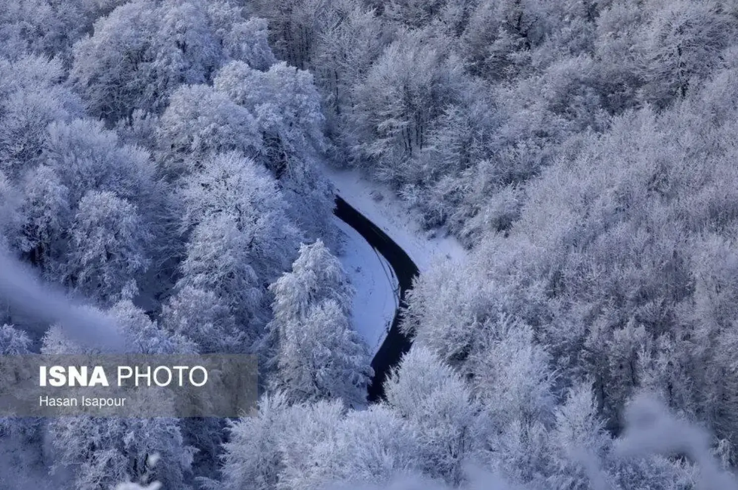 Screenshot 2026-01-16 201556