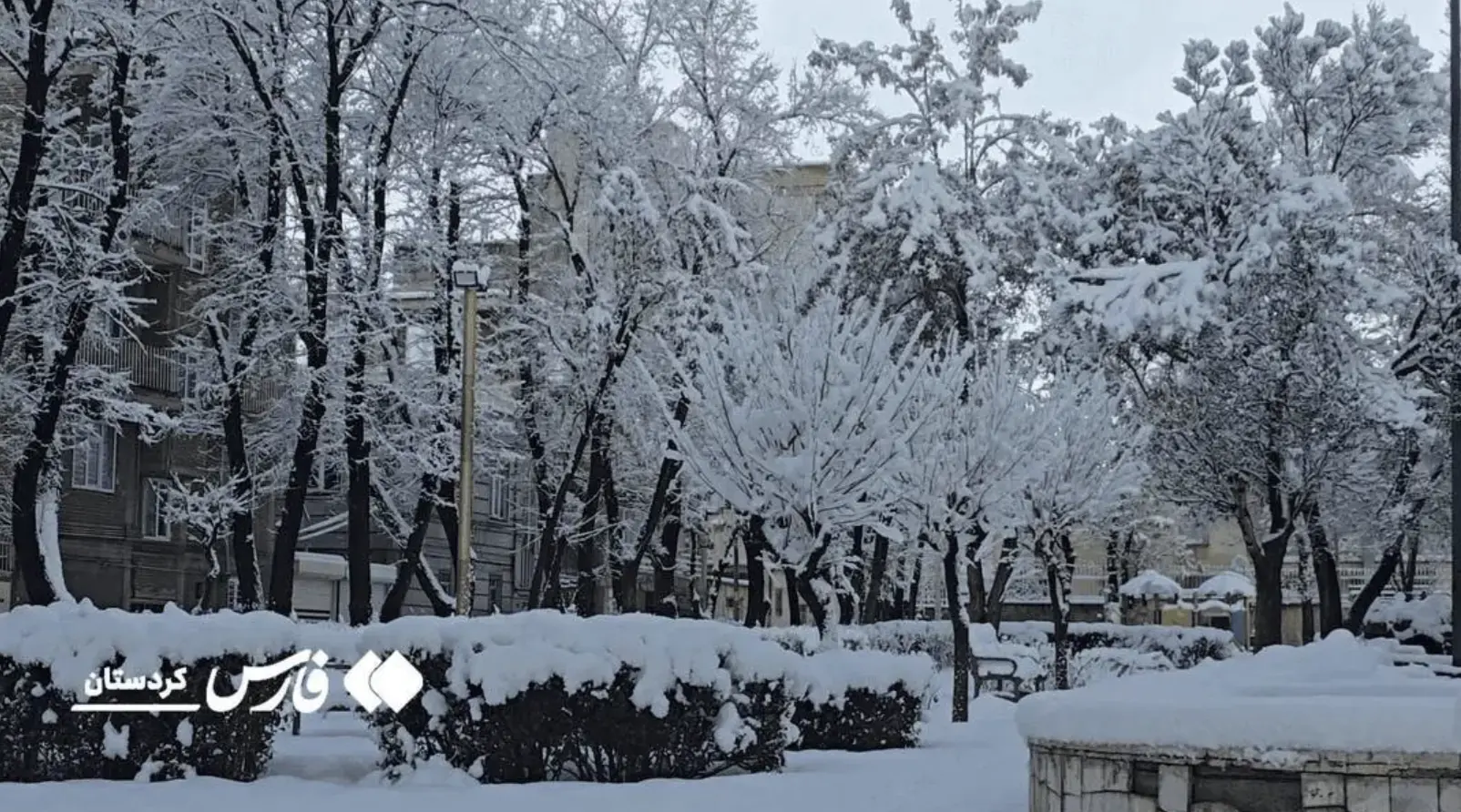 Screenshot 2026-01-15 003457