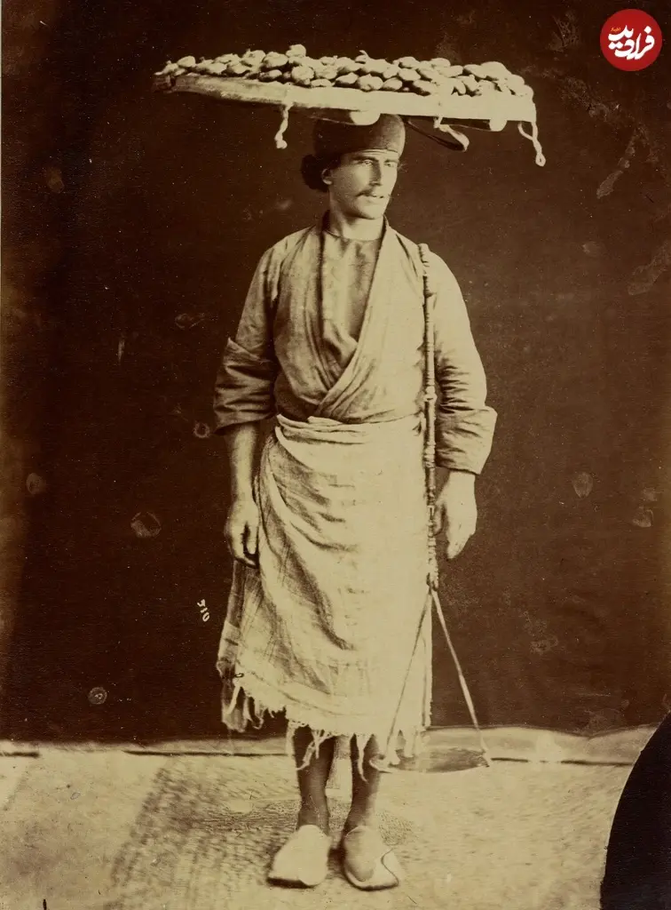 انجیر