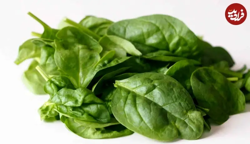 Screenshot 2026-01-19 095752