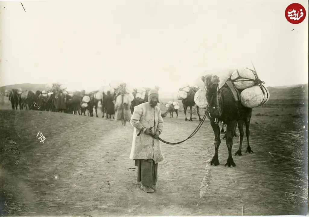 کاروان