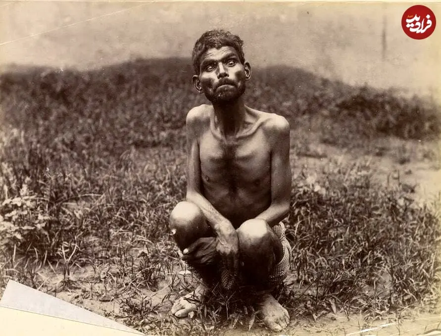 dina-sanichar-photograph