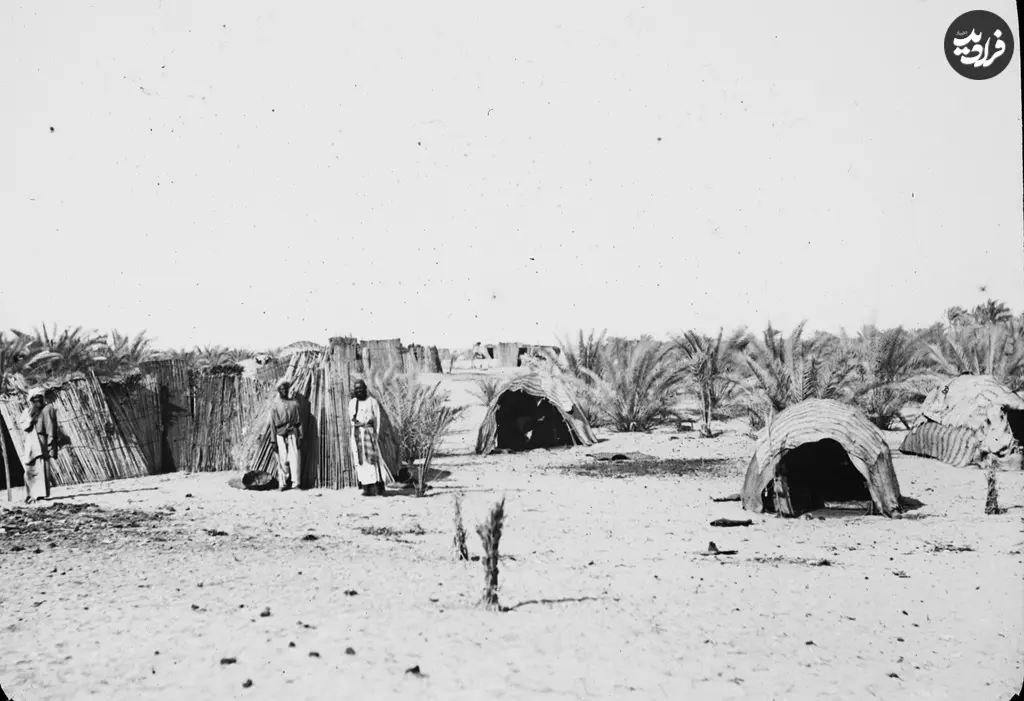نخلستان