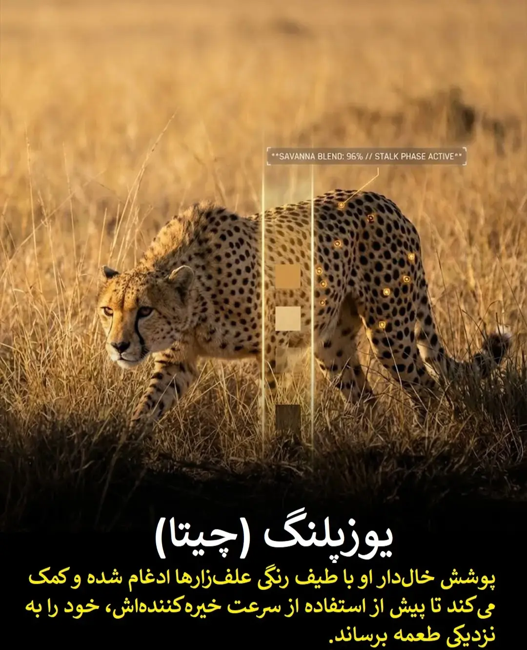 da120da5ZTp3ZWJwfGY6MjQ5MTYyNS5qcGd8ZnVpOjIzODU3OTJ8bDpmYXx2OjE