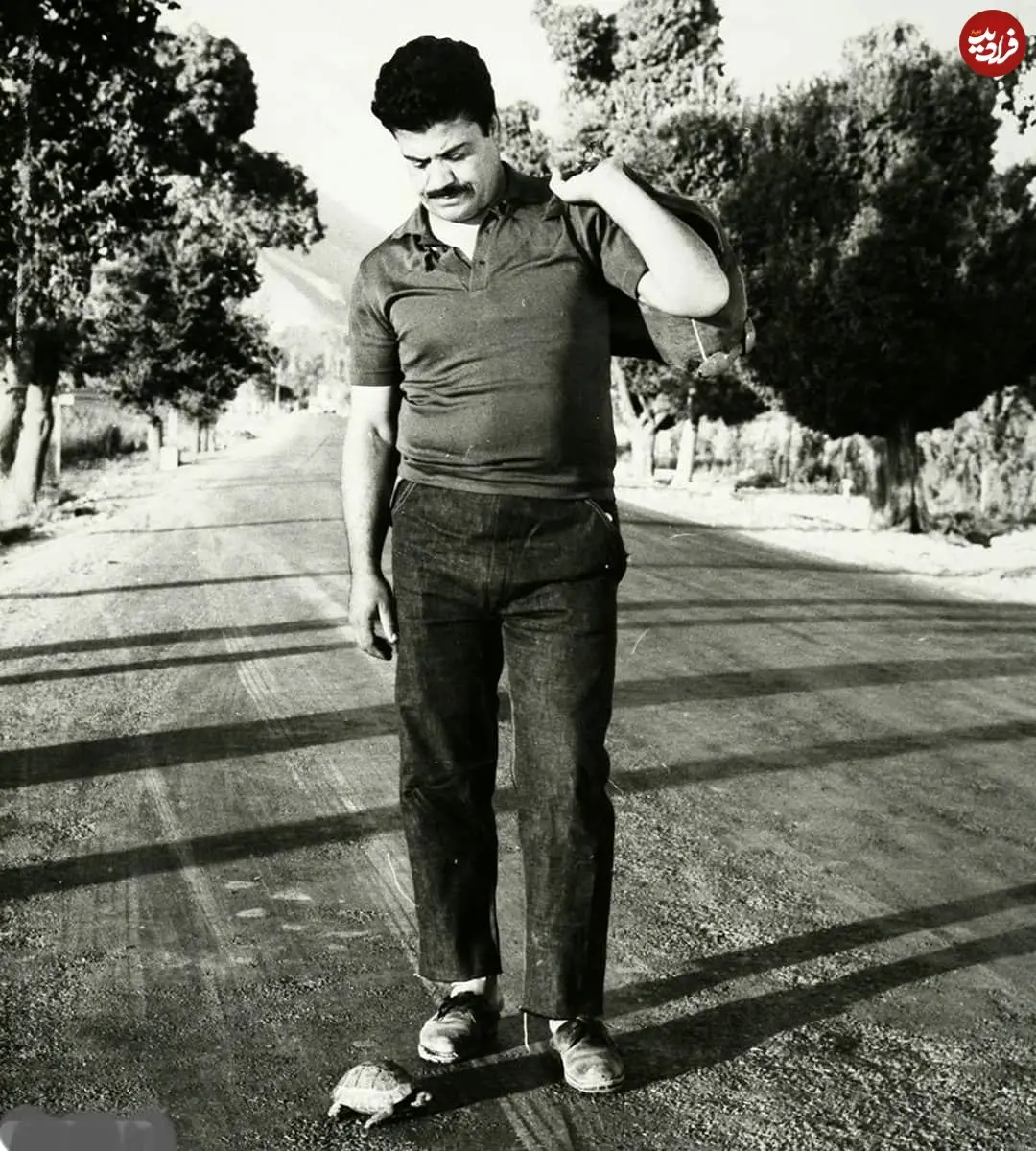 laleh_zar___1638872343_2723381064376693205_5988281608