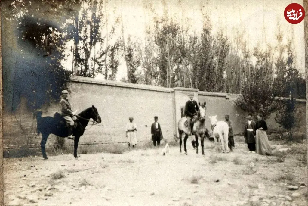 باغ شیراز 84