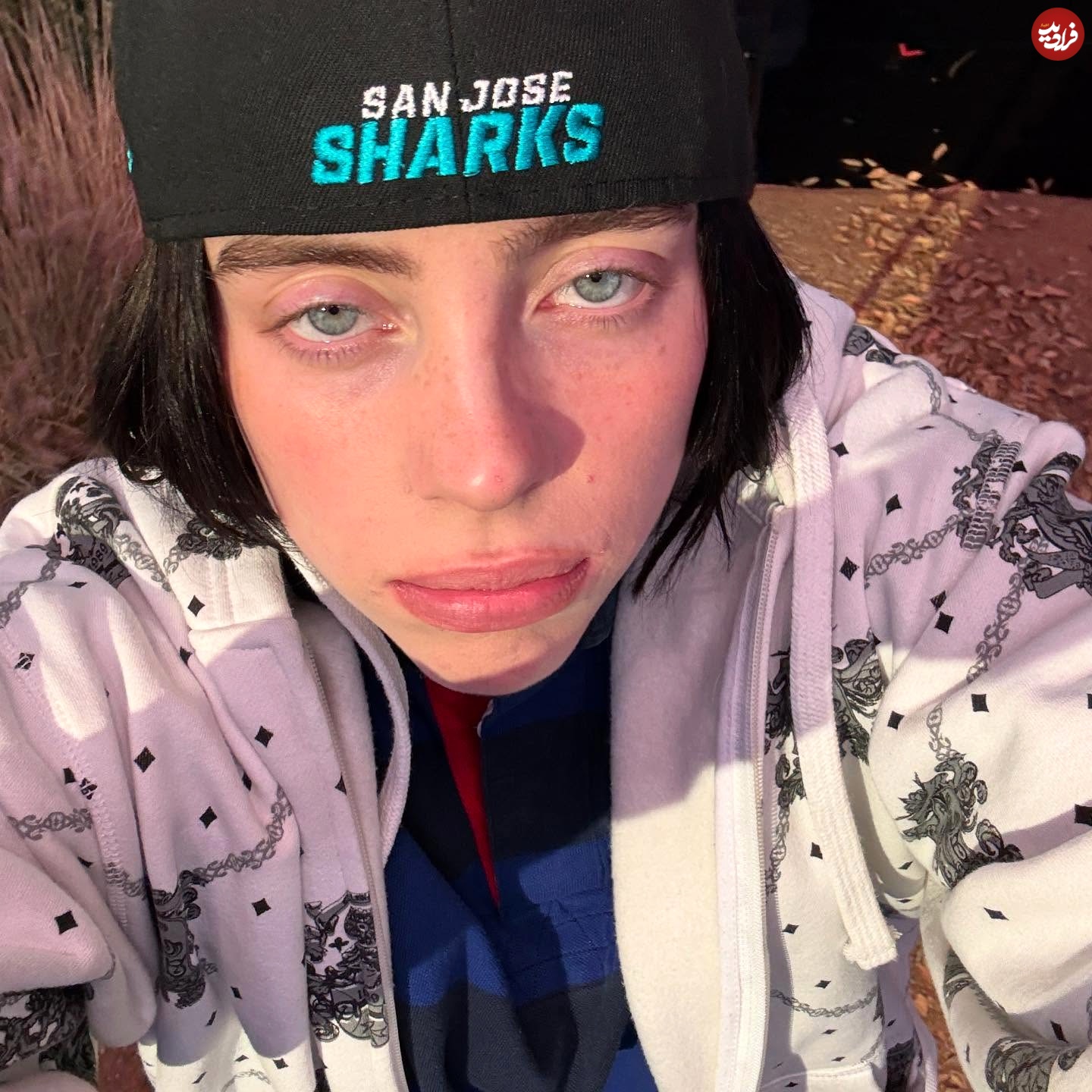 billieeilish_1755014671_3697653526454332525_28527810