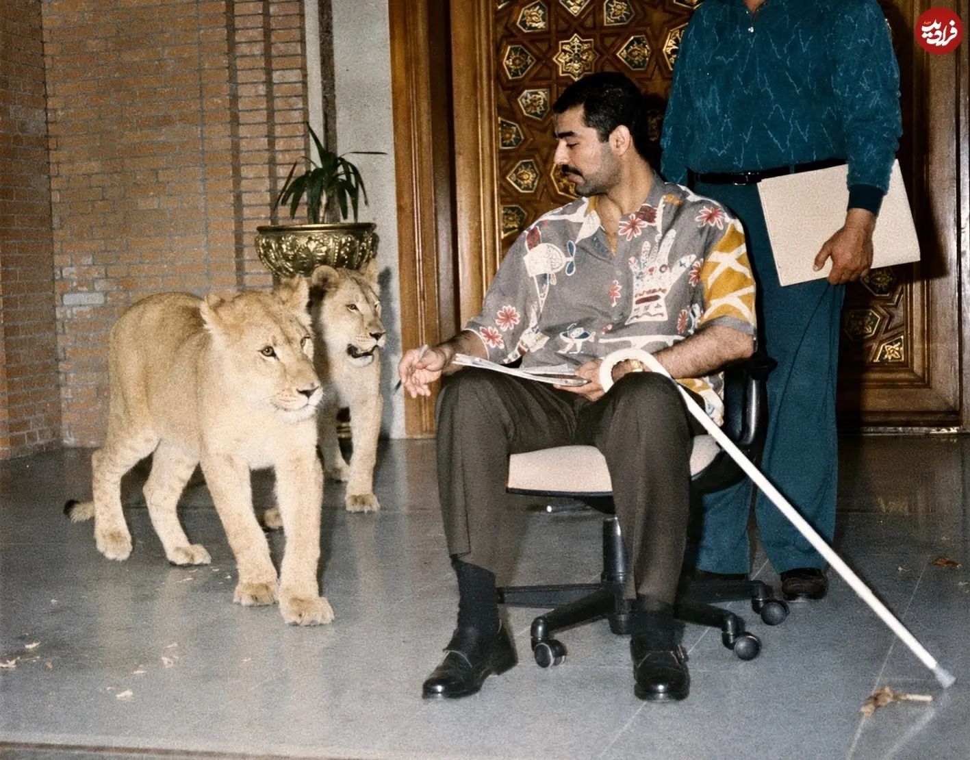 photo_sadam_1783710392_3938369149448402150_6992959840