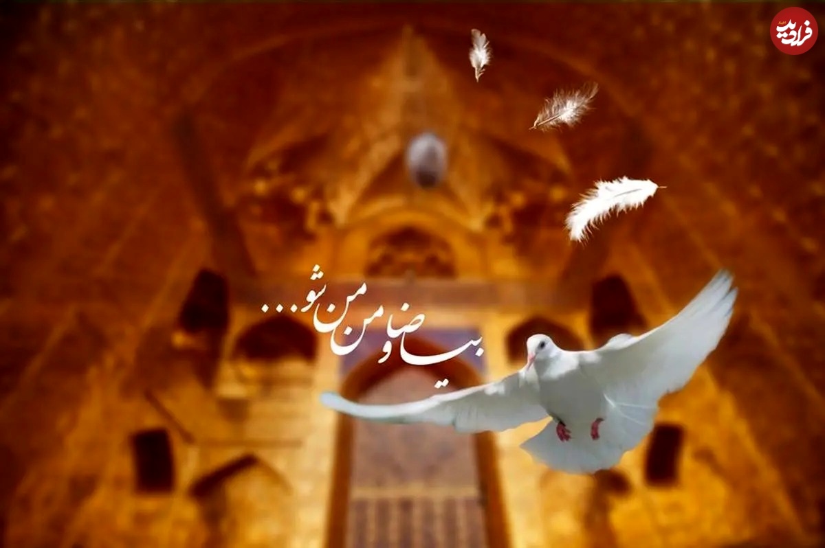 ولادت امام رضا