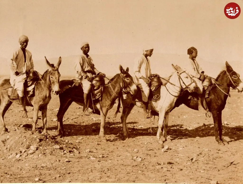 خرسواری قاهره 1890