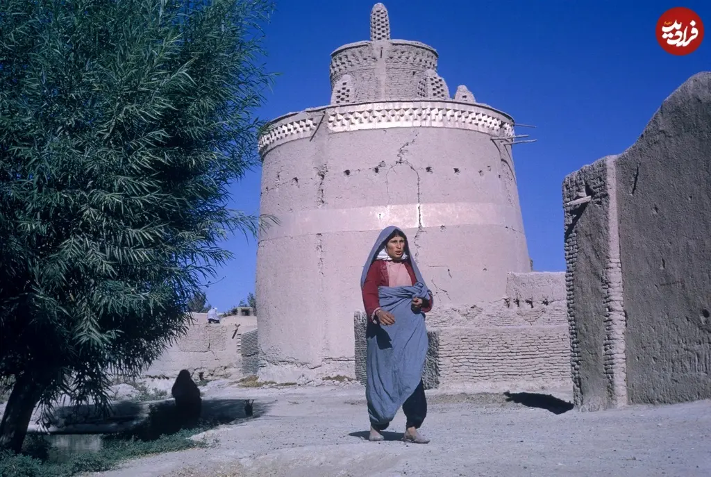 کبوترخانه 40