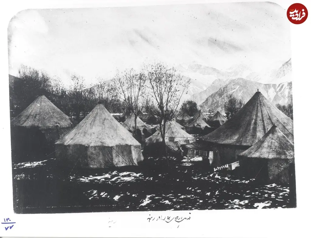 رینه