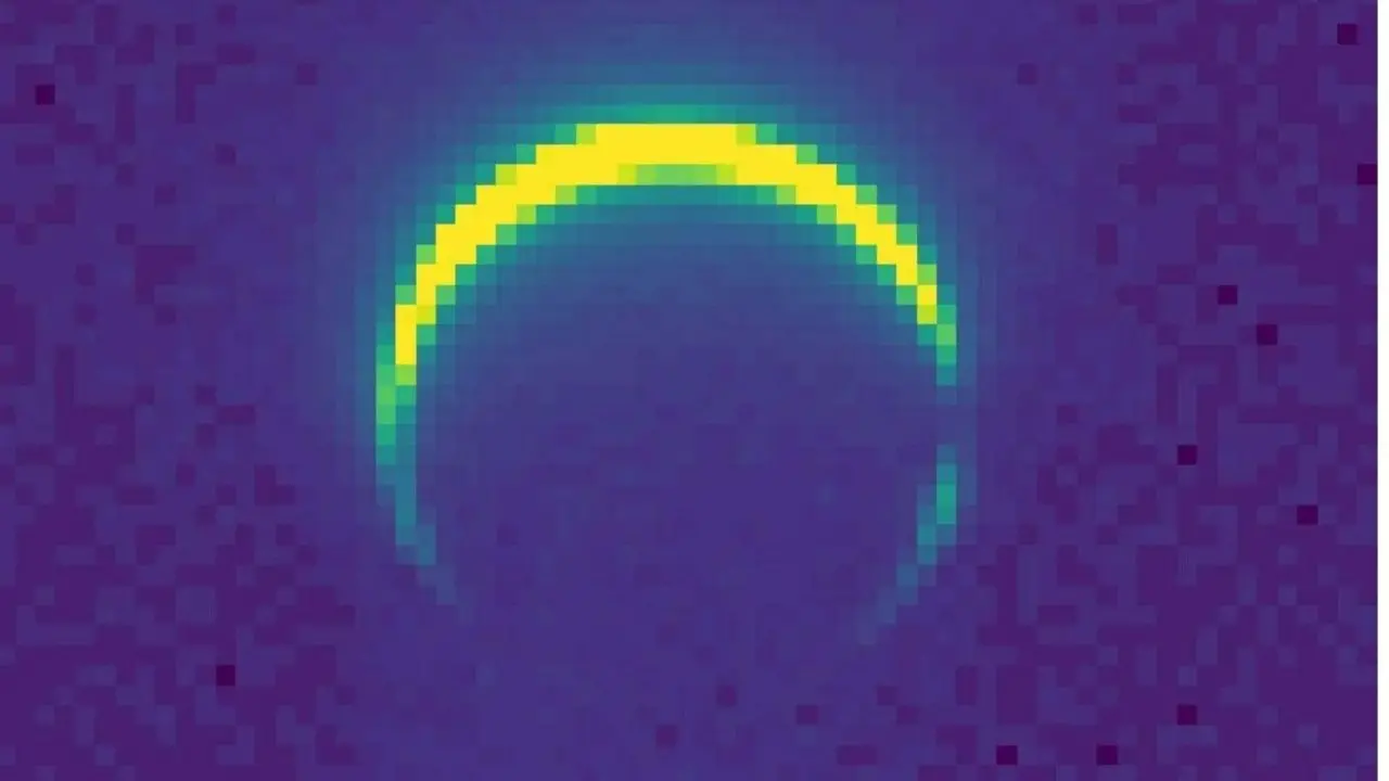 81