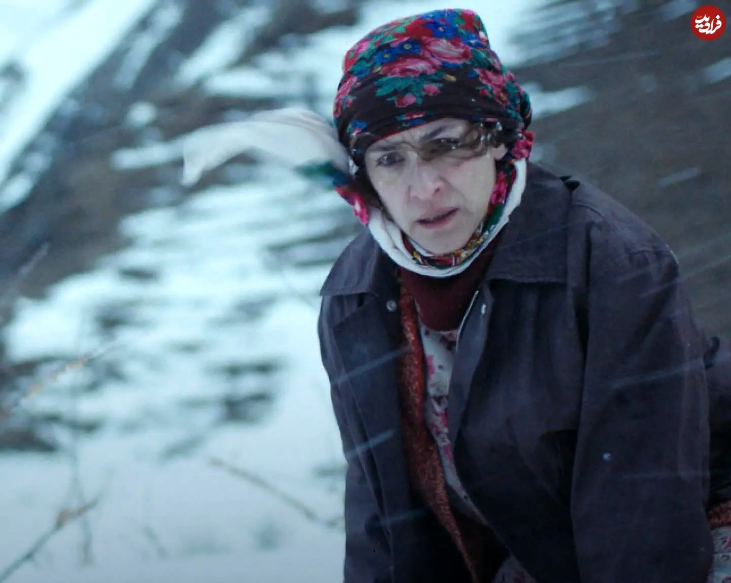 littledreampictures_1747657546_3635937490017732662_12989604771