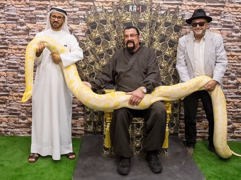 79089827-12877399-Unlikely_duo_Steven_Seagal_and_George_Galloway_made_a_bizarre_tr-a-12_1702935106959-768x573