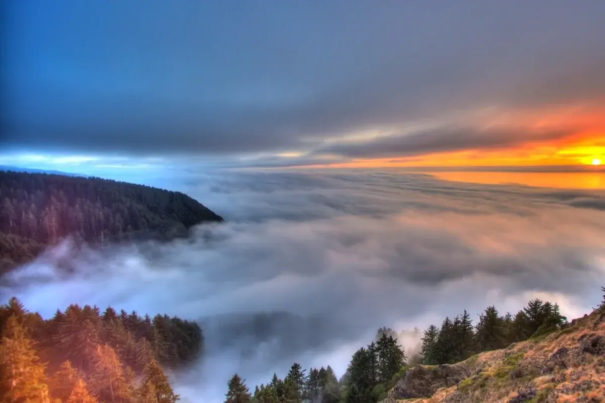 جنگل ابر شاهرود