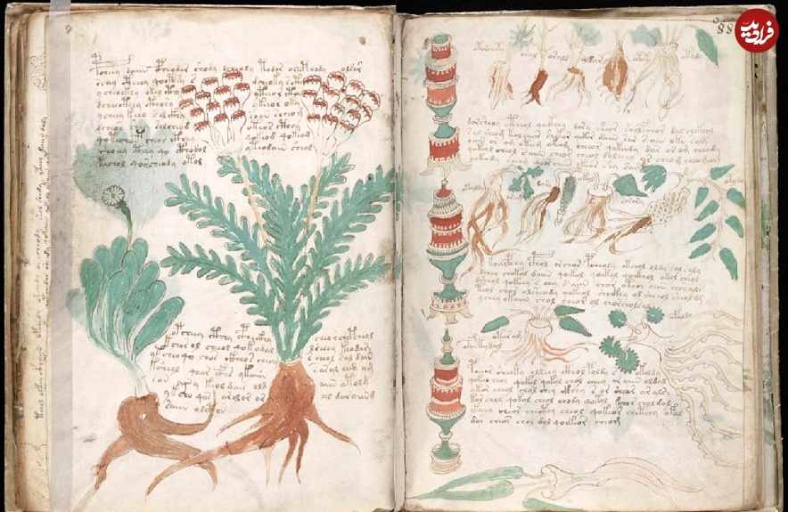180613135227-voynich-manuscript-9