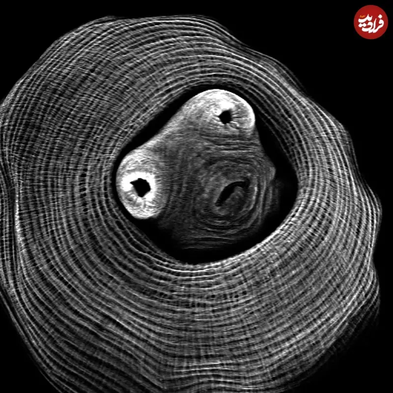 iod-2023_Calderon_Arturo_e30013_f20275