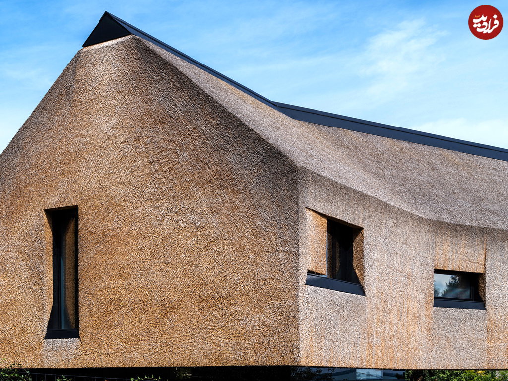 rapa-architects-thatch-cantilever-home-hungary_dezeen_2364_col_5