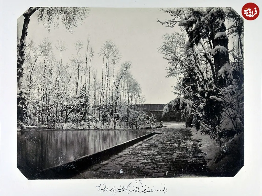 برف