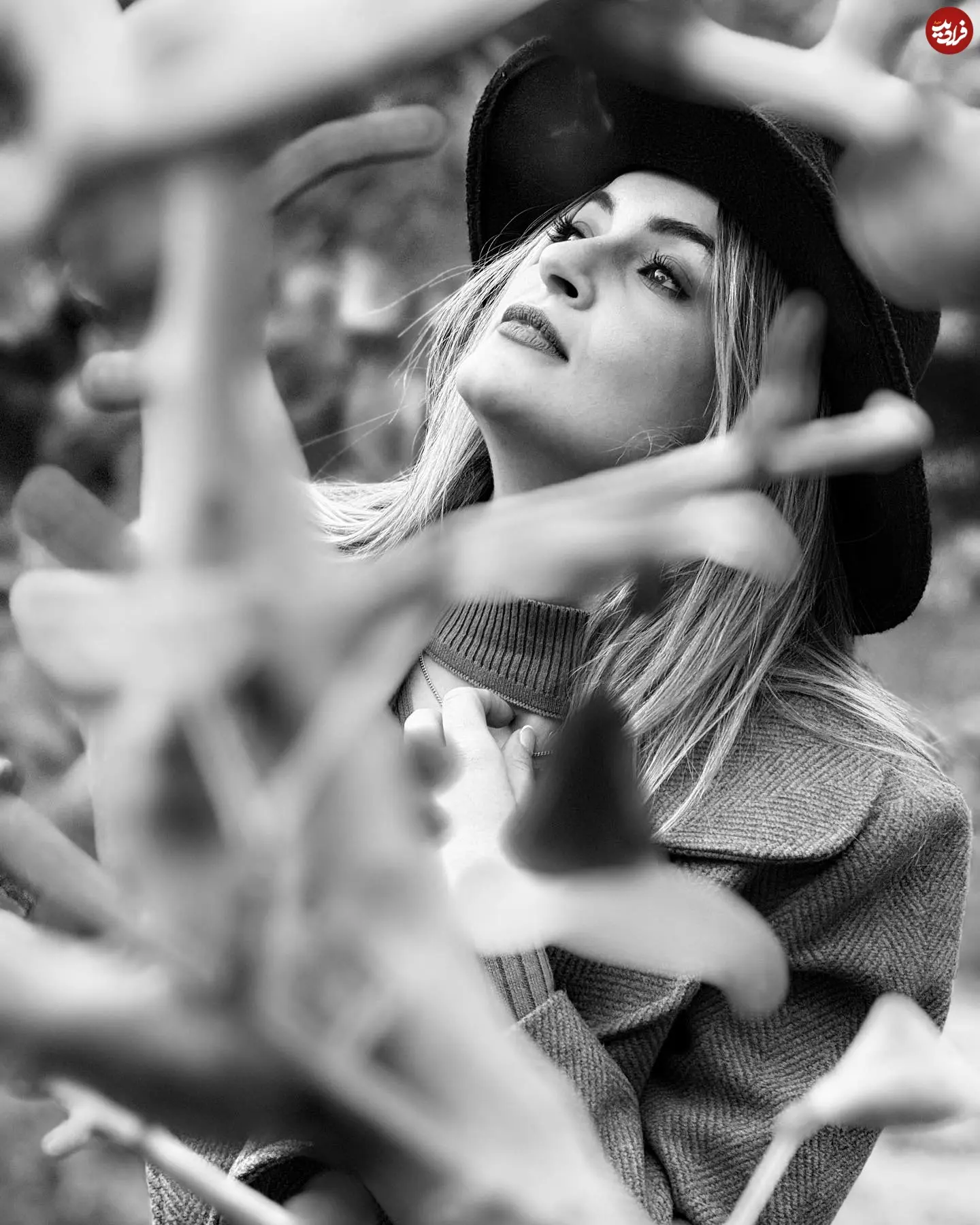 niloufar_parsa_1762785816_3762842612638987874_1041017484