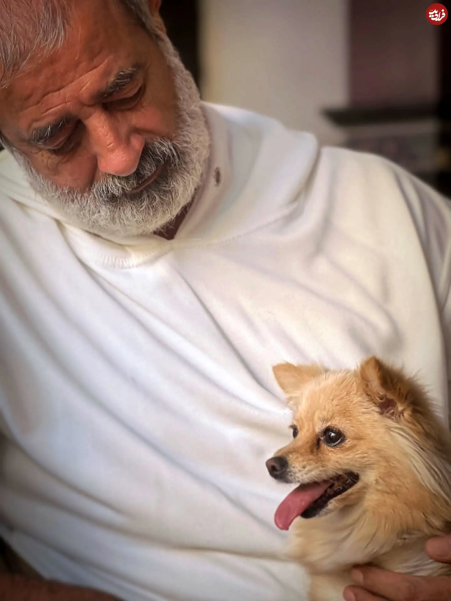 andrei_skaf_1761466901_3751778754252039650_73478568984