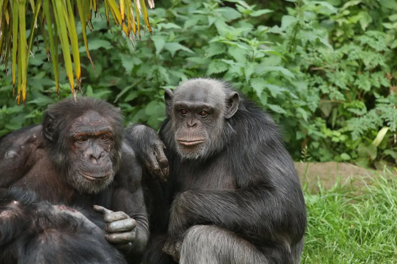 22