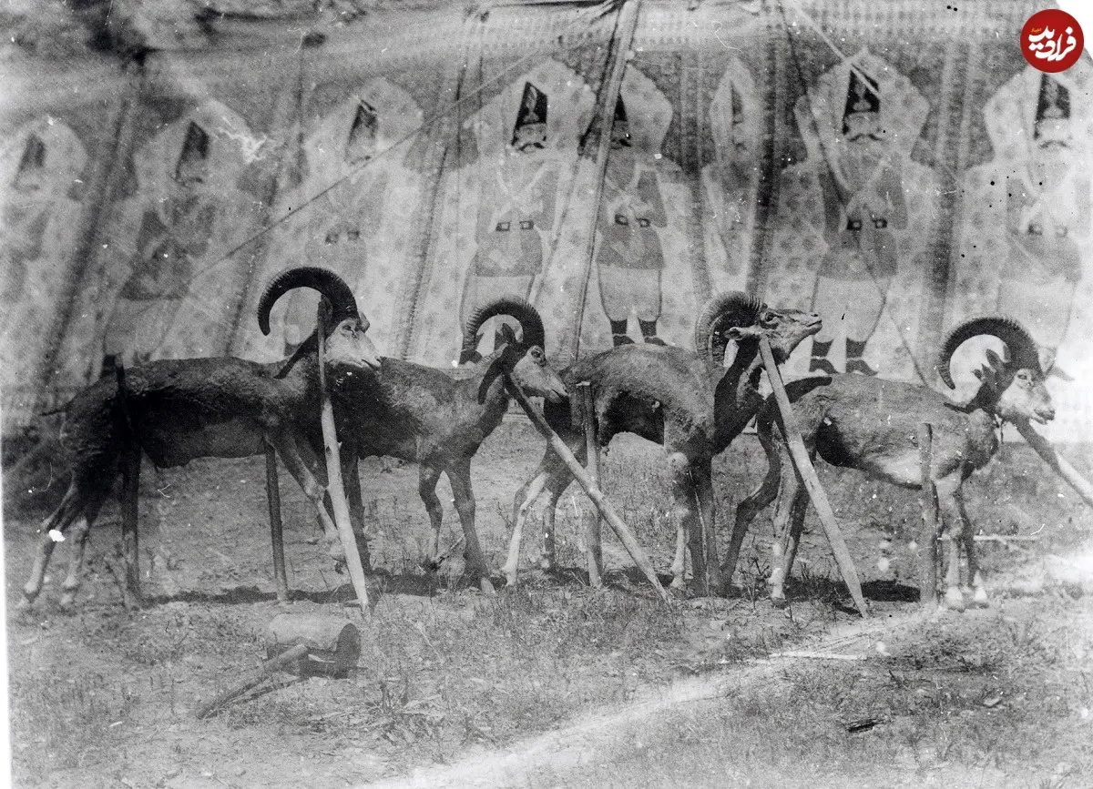 190-5