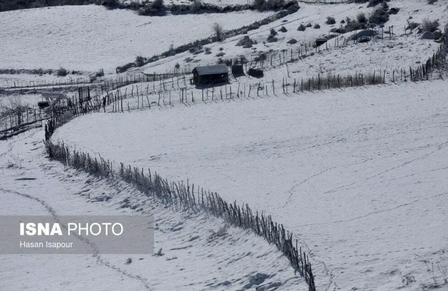 Screenshot 2026-01-16 201739