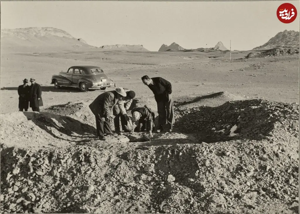 نفت قنات
