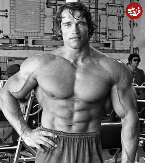 skntbodybuilding_1714134387_3354724848510424605_62492028994