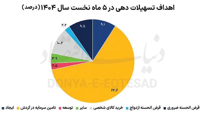عکس؛ سهم عجیب خانوار از وام‌های بانکی