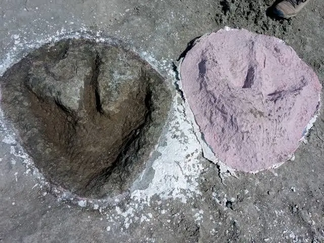 52