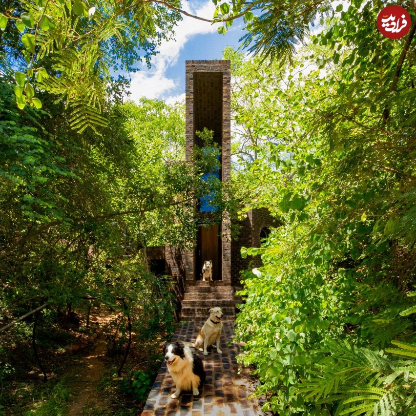 frankie-pappas-house-of-the-big-arch-south-africa-waterberg_dezeen_2364_col_1-852x852