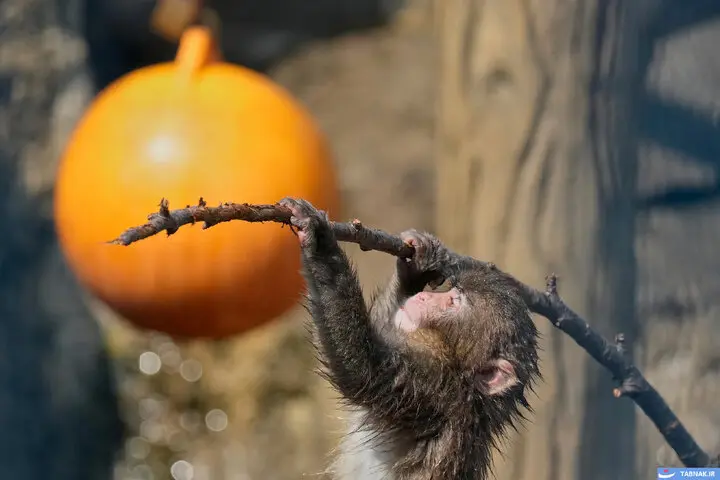 178