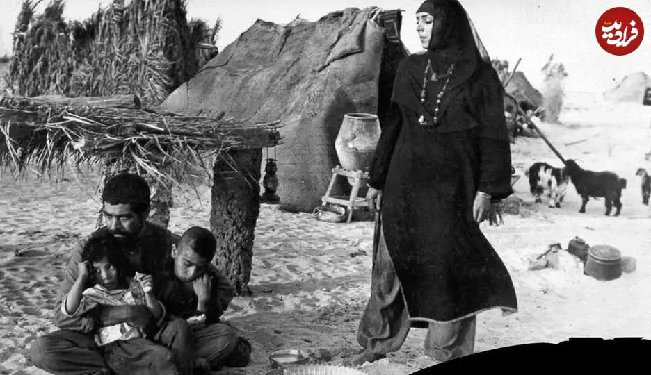 82198415_3599512863424727_8854756361301393408_n