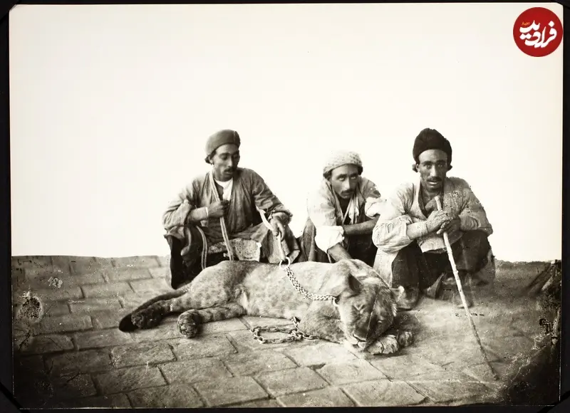 شکارچی