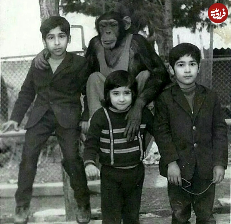 عکس؛ سفر به تاریخ؛ عکس یادگاری بچهها با میمون باغ وحش تهران؛ سال 1351 عکس؛ سفر به تاریخ؛ عکس یادگاری بچهها با میمون باغ وحش تهران؛ سال 1351
