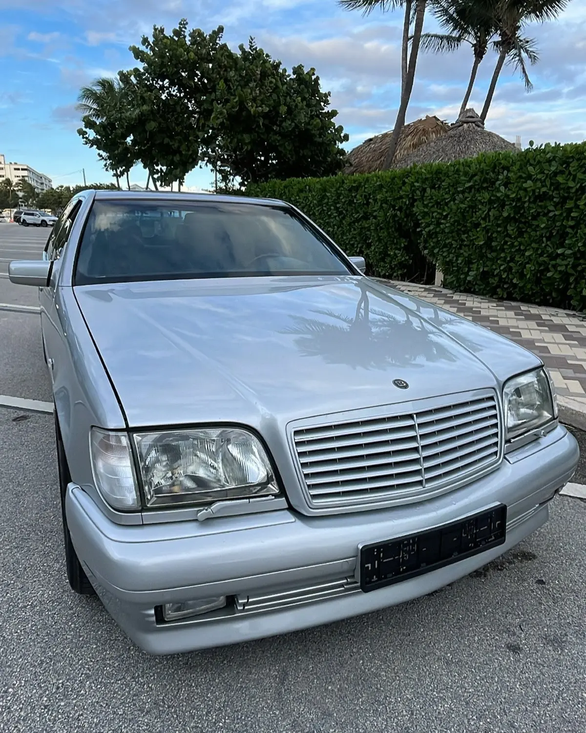 81