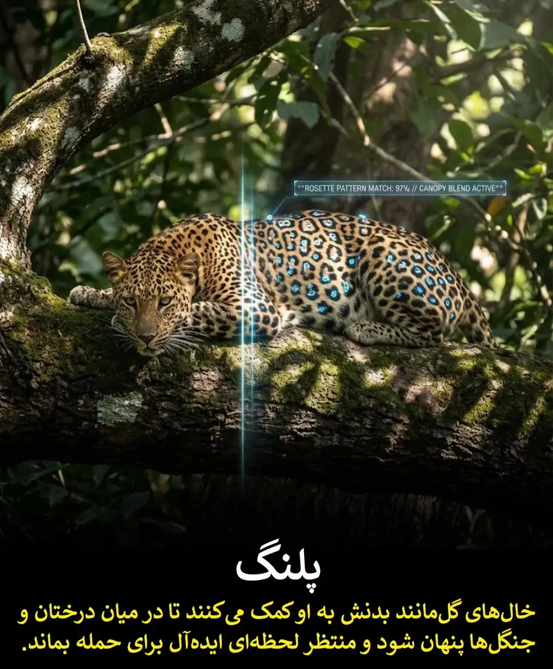 9a38c4b1ZTp3ZWJwfGY6MjQ5MTYyMS5qcGd8ZnVpOjIzODU3ODh8bDpmYXx2OjE